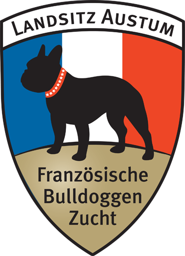 Franzsische Bulldoggenzucht